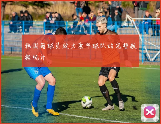韩国籍球员效力意甲球队的完整数据统计
