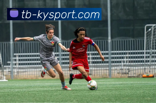 App Interface Preview